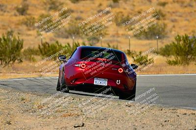media/Oct-05-2024-Extreme Speed (Sat) [[dcd4a721fe]]/High Inter/Session 3 (Bowl)/